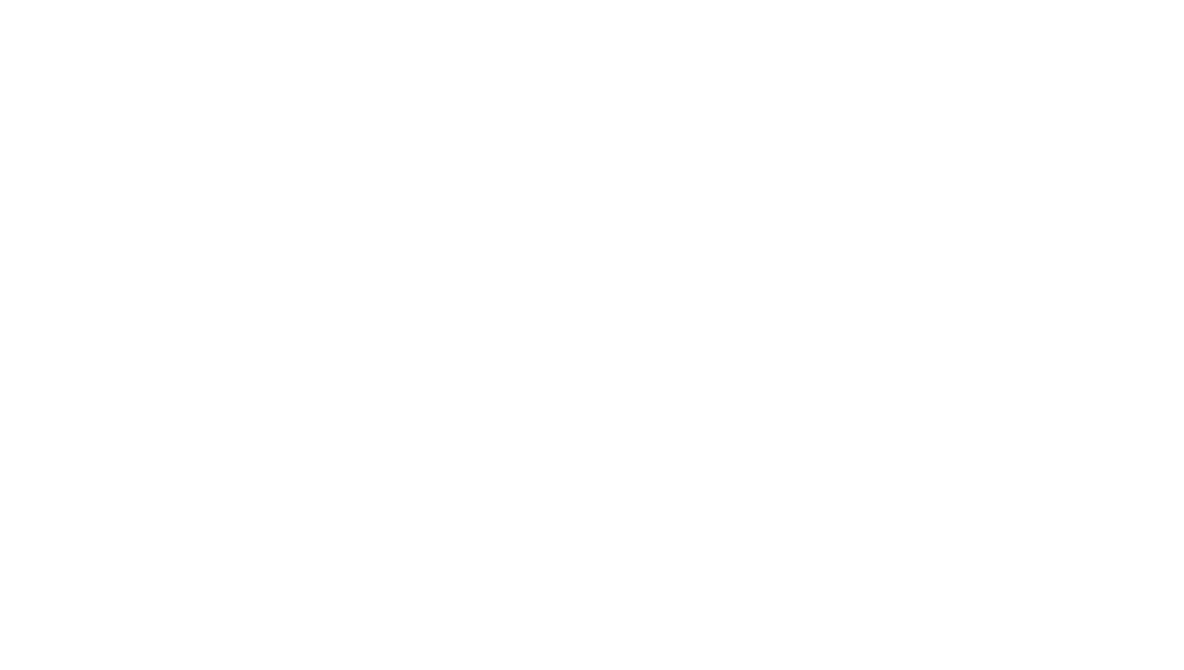 Pro Access